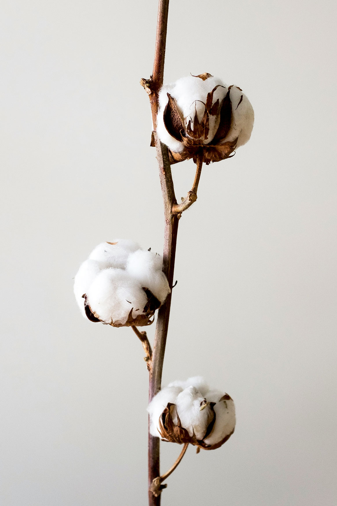 mykola kolya korzh zrvy4blkwi4 unsplash